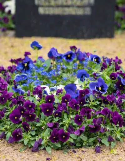 Friedhofsgärtnereien der Gartenbaugruppe Würzburg