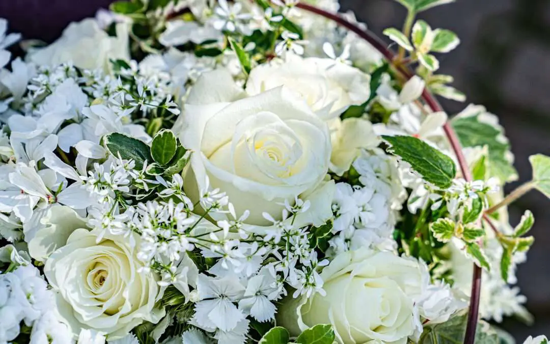 Rosen zum Valentinstag