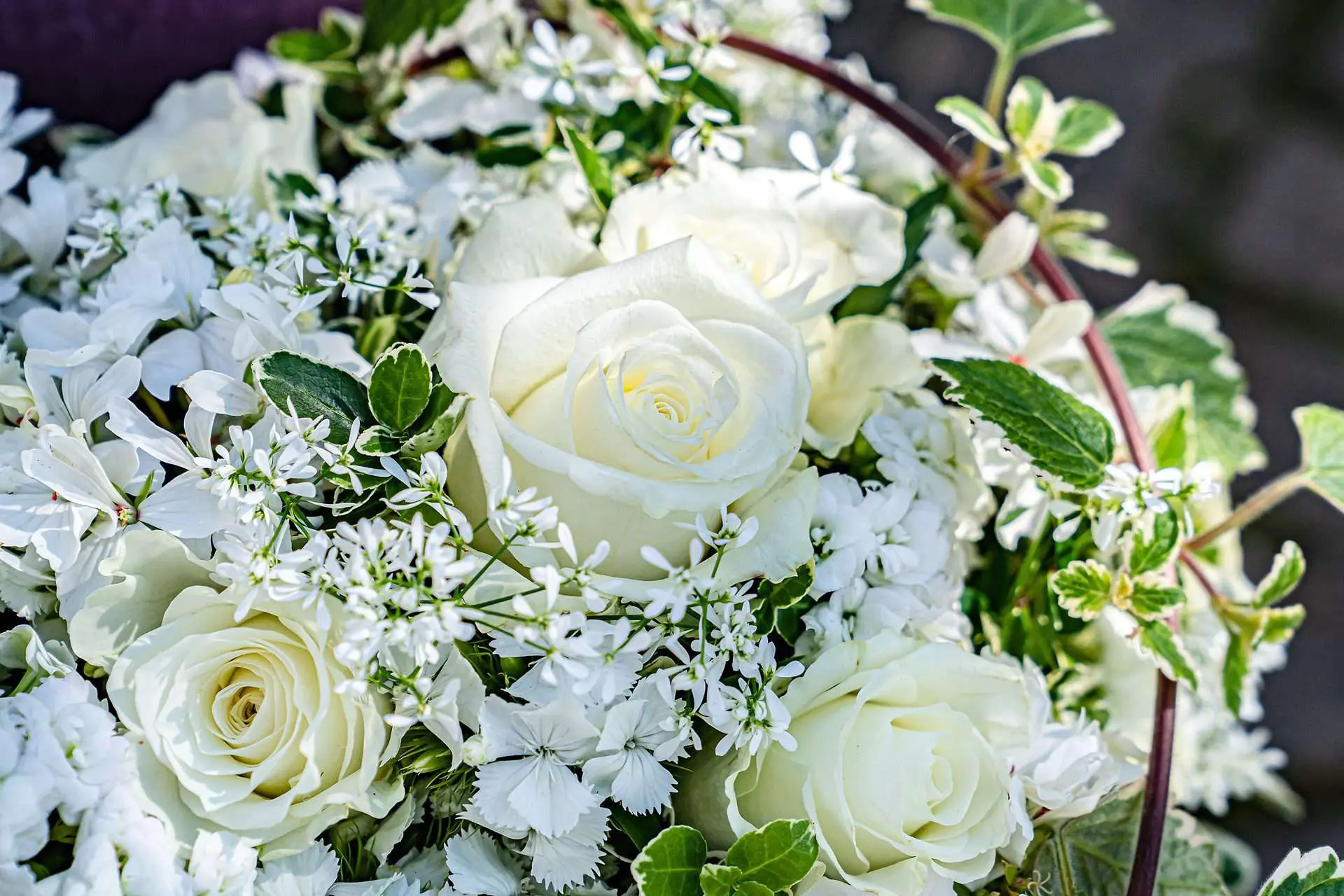 Valentinstag 2022 in allen Farben