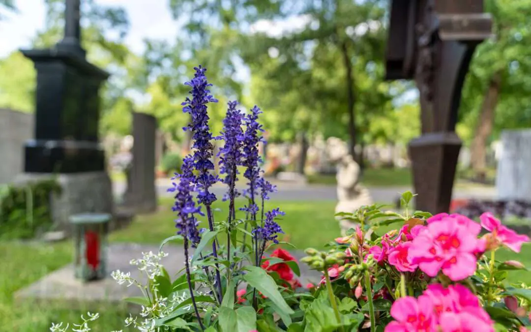 Vertrauensvolle Grabpflege von Ihrer Gärtnerei in der Region