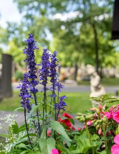 Vertrauensvolle Grabpflege von Ihrer Gärtnerei in der Region