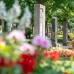 Sommerliche Grab Bepflanzungen