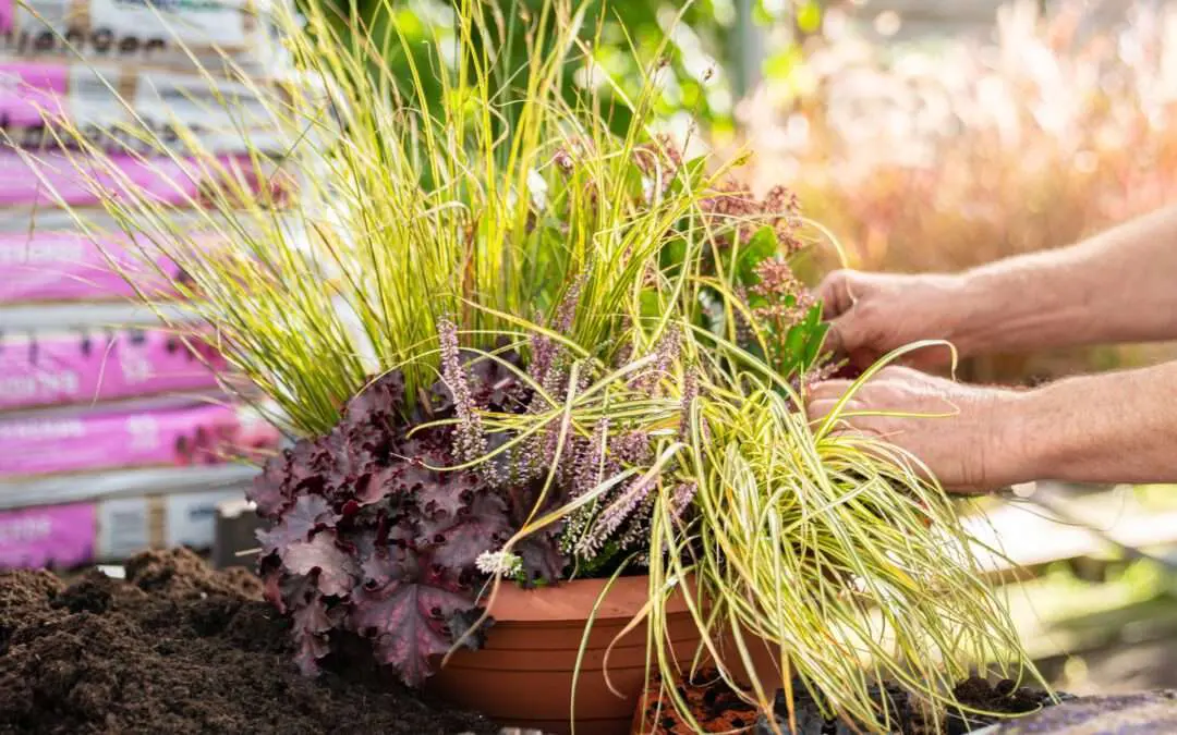 Gartenbaugruppe – Individuelle Bepflanzung