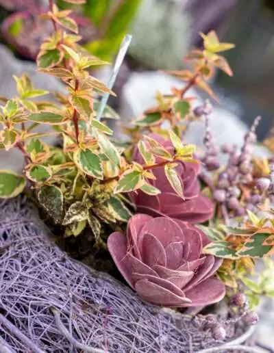 Klein aber romantisch für Allerseelen