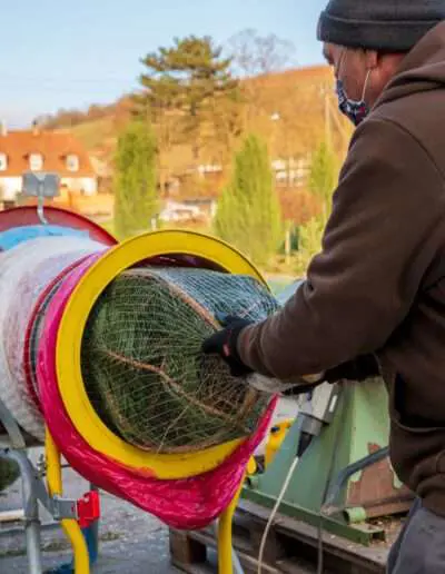 Service: Weihnachtsbaum Einnetzen