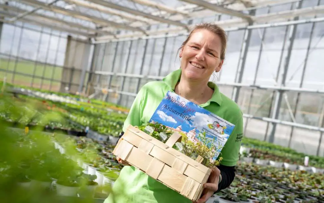 Das Kräuterkistle der Gartenbaugruppe Würzburg