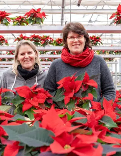 Petra & Kathrin Gammanick mit Weihnachststernen
