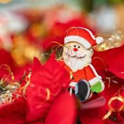 Farbenfrohe Adventsdeko mit Weihnachtsstern