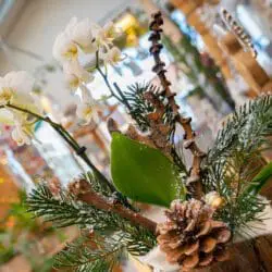 Weihnachtliche Dekoration mit Orchideen