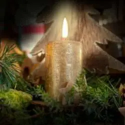 Gemütliche Weihnachten mit schönen Dekorationen von Ihrer Gärtnerei