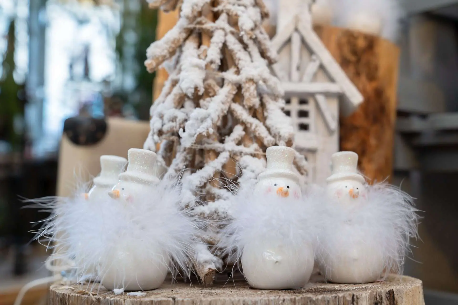 Pfiffige Adventsdekorationen aus Ihrer Gärtnerei