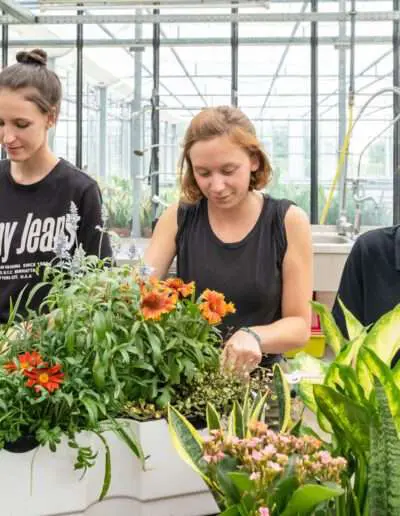 Kreatives Arbeiten mit Pflanzen zeichnet das Berufsbild aus