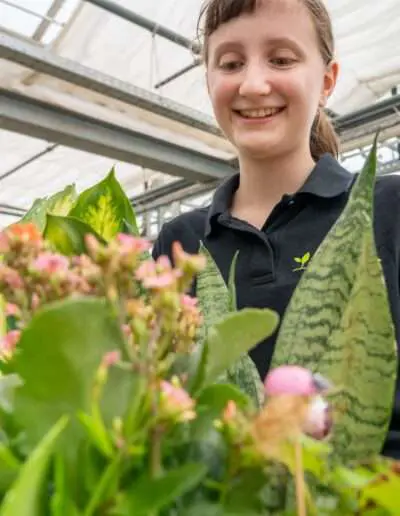 Kreative Schalenbepflanzung als Prüfungsaufgabe