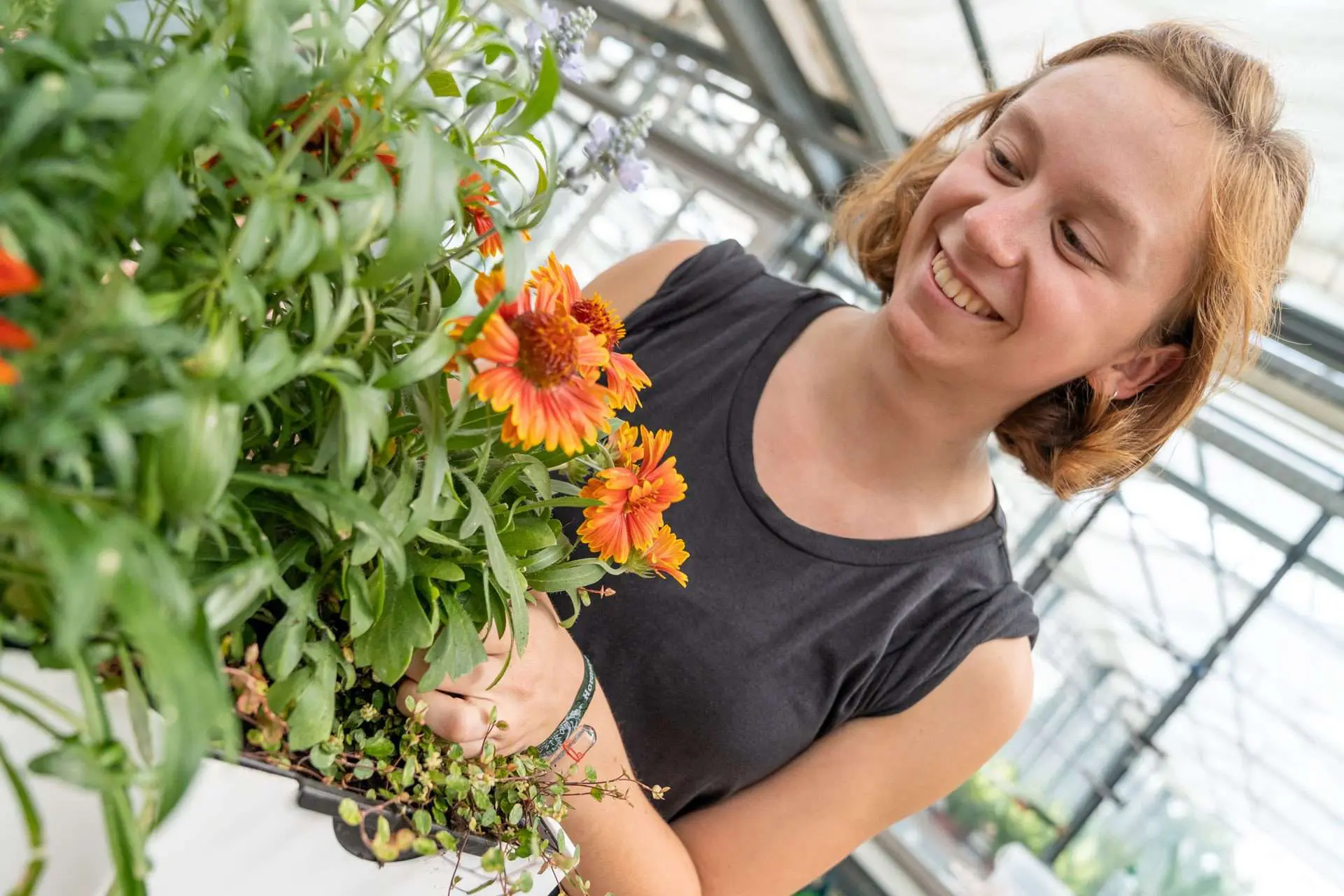 Ausbildung zur Gärtnerin im Bereich Zierpflanzenbau ist vielsei