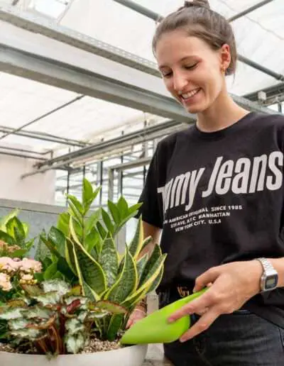 Abschlussprüfungsaufgabe Schalenbepflanzung