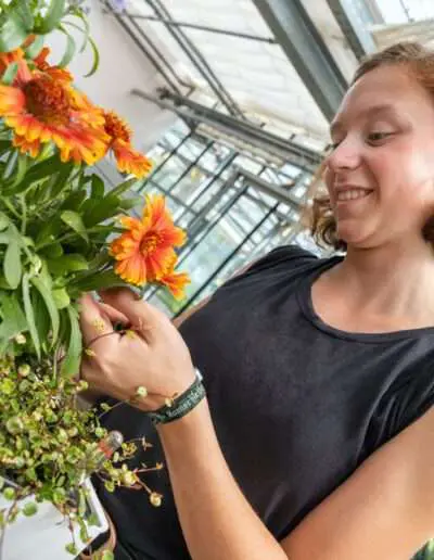 Die Gartenbaugruppe bildet aus