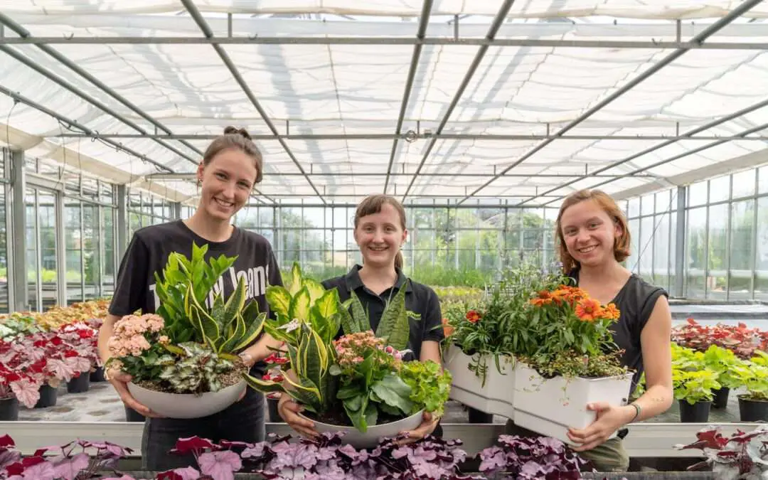 Stolze Absolventinnen der Abschlussprüfung zur Gärtnerin Berei