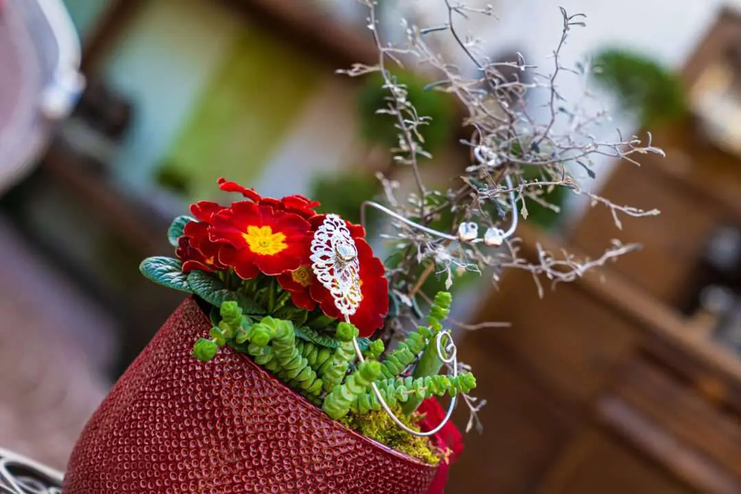 07873 Gartenbaugruppe Wuerzburg Valentinstag Geschenk Primel Silberschmuck Hupp