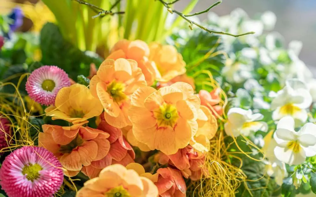 Welche Blumen jetzt pflanzen?