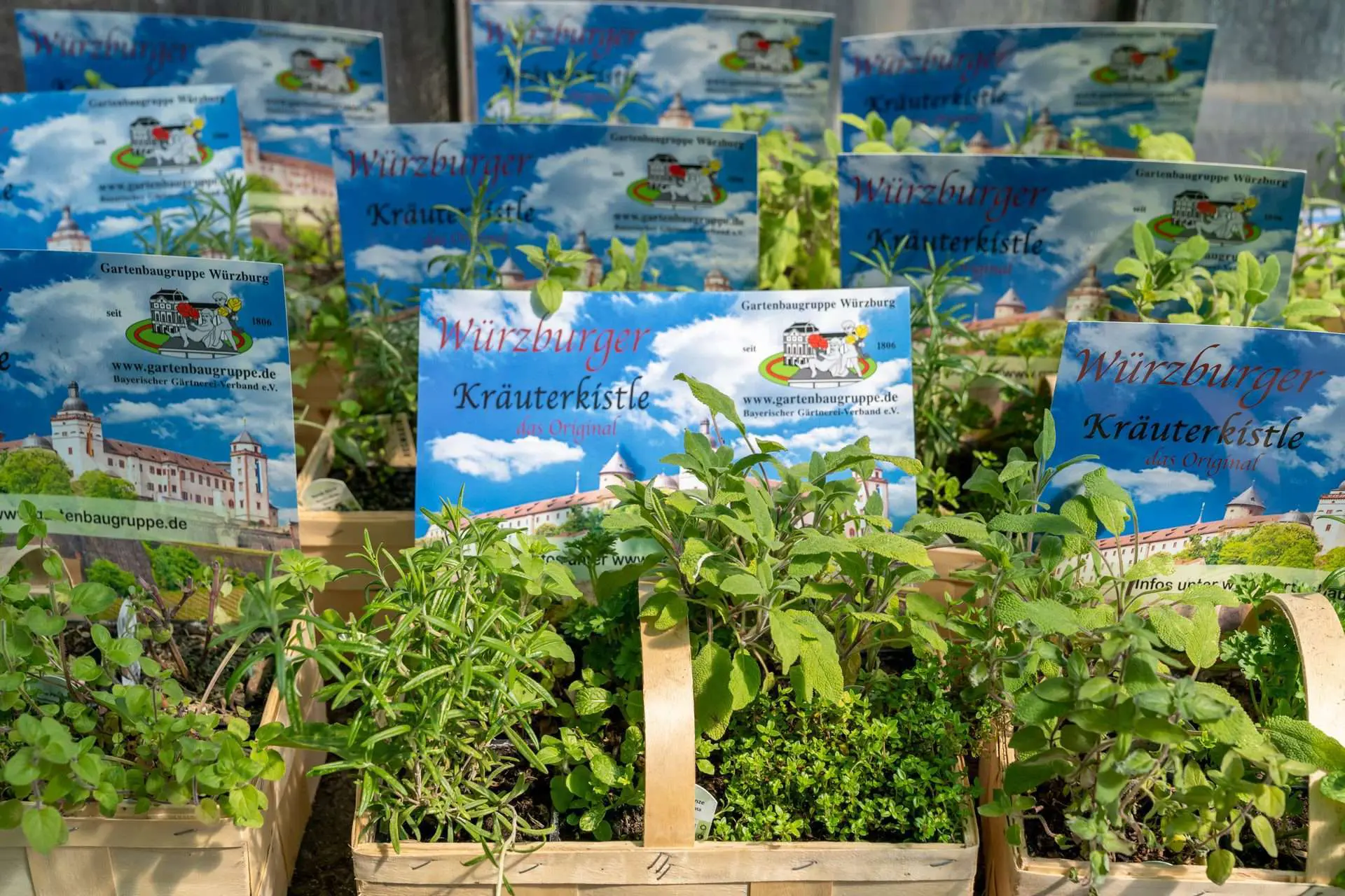 Das Kräuterkistle der Gartenbaugruppe Würzburg