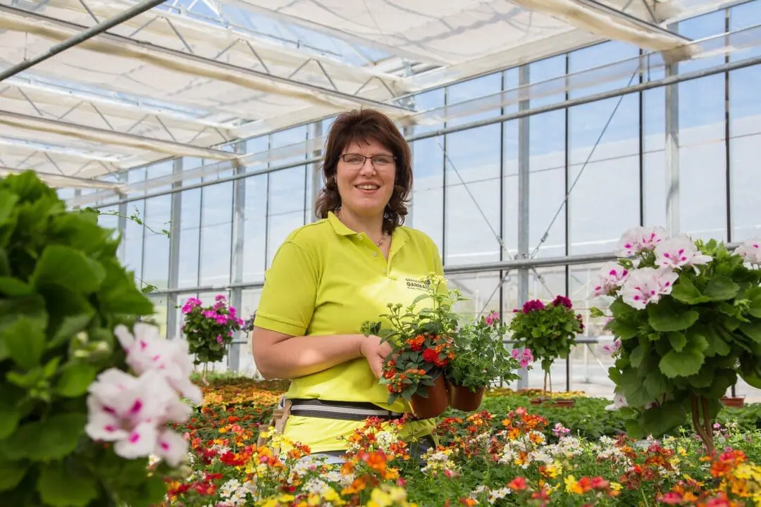 Petra Gammanick Mit Geranien