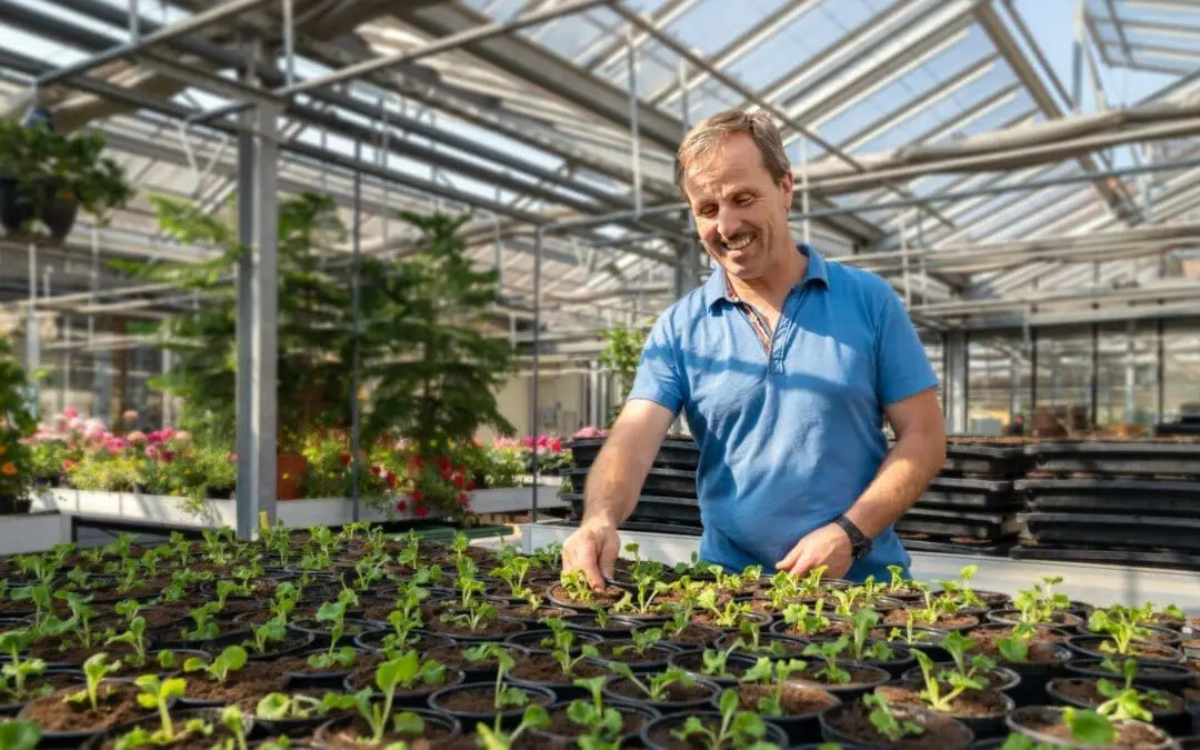 Gaertnerei Michael Hessdoerfer Pflanzenanbau