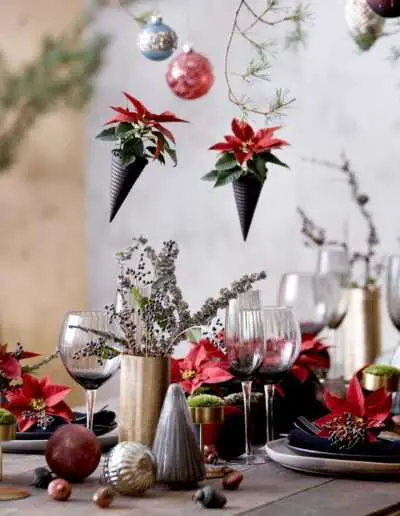 Gemütliche Weihnachten by Stars for Europe