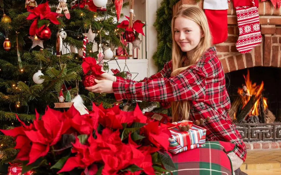 Weihnachtssterne am Weihnachtsbaum