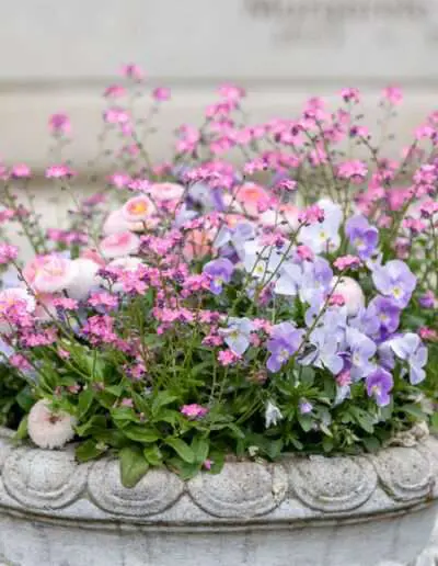 Friedhofsgärtnereien beraten Sie zur Dauergrabpflege