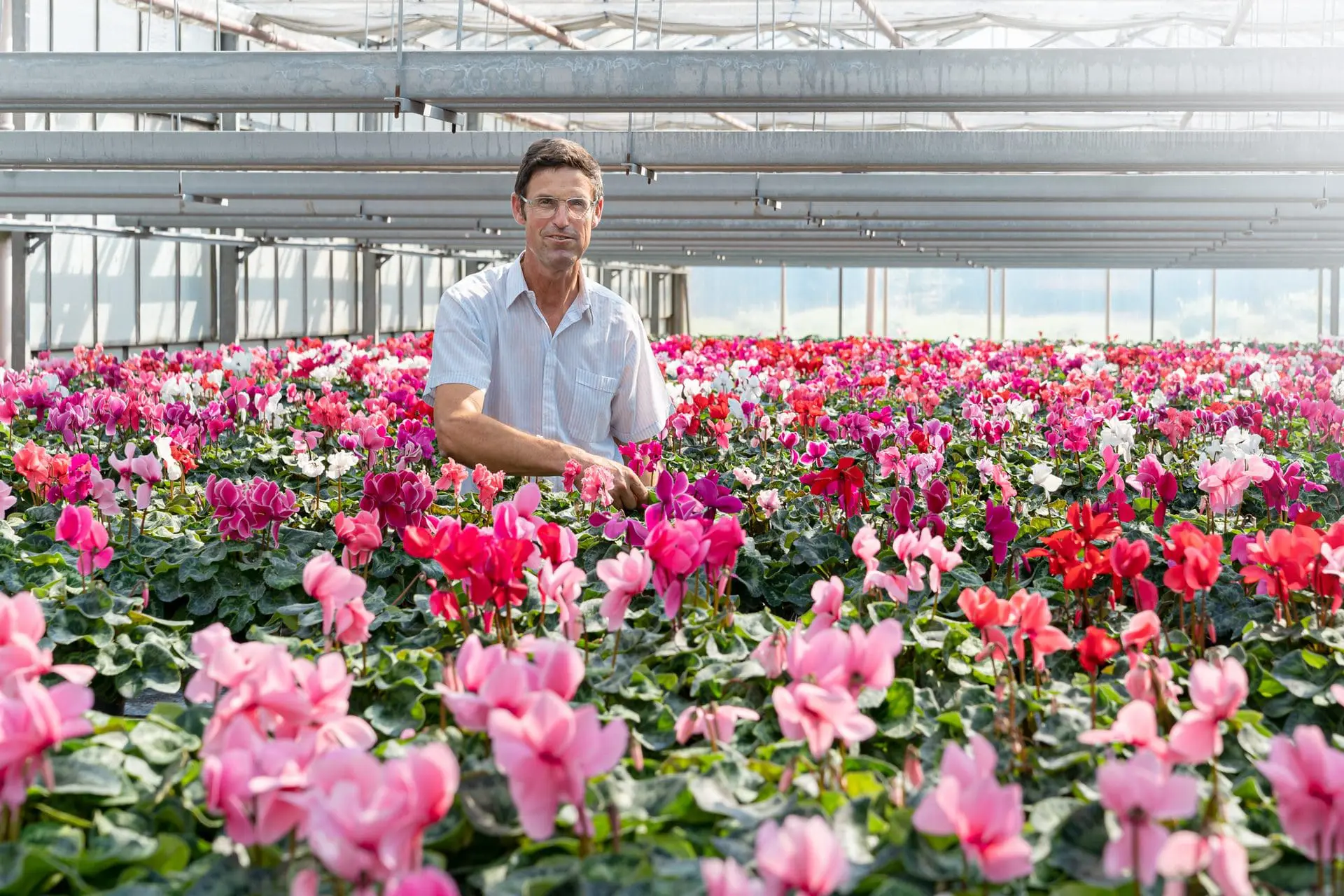 Blumenwerkstatt Rippel Ganzjährig Eigener Pflanzenanbau