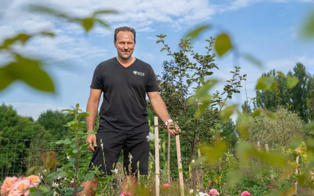 Gärtnerei Böck Garten- und Landschaftsbau