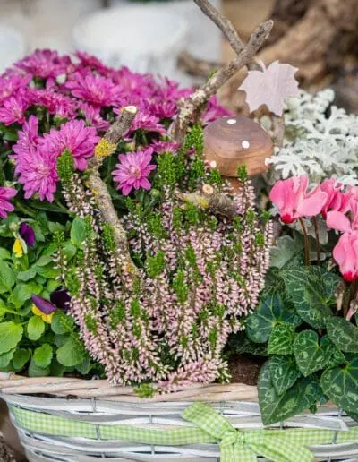 Bepflanzter Korb Blumenhaus Reim