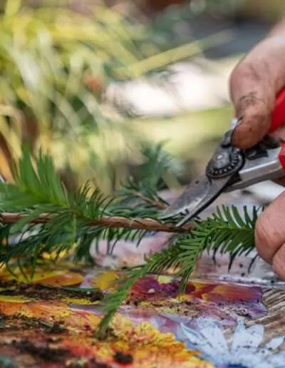 Gartenbaugruppe Würzburg: Handwerk & Service