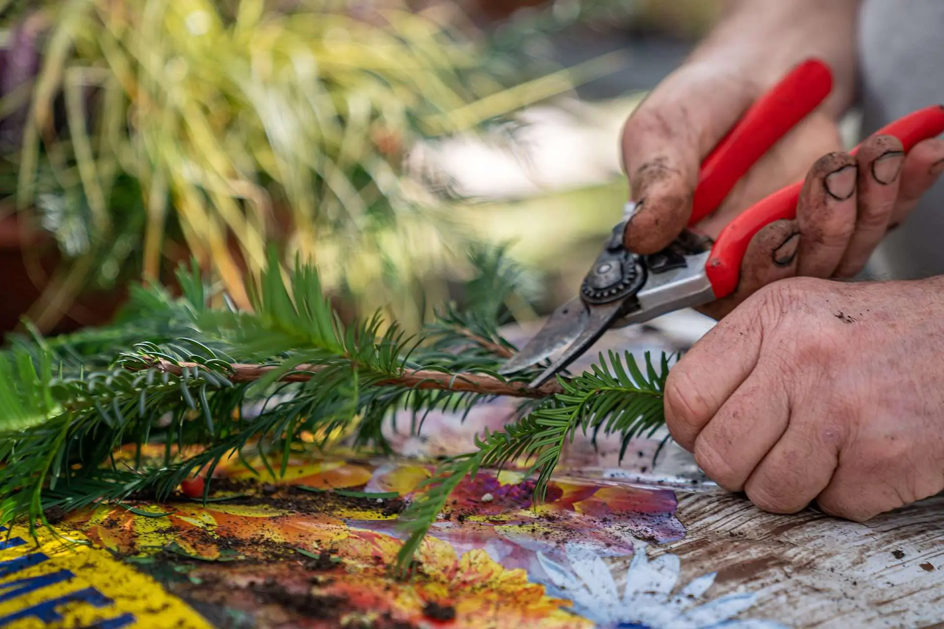 Gartenbaugruppe Würzburg: Handwerk & Service