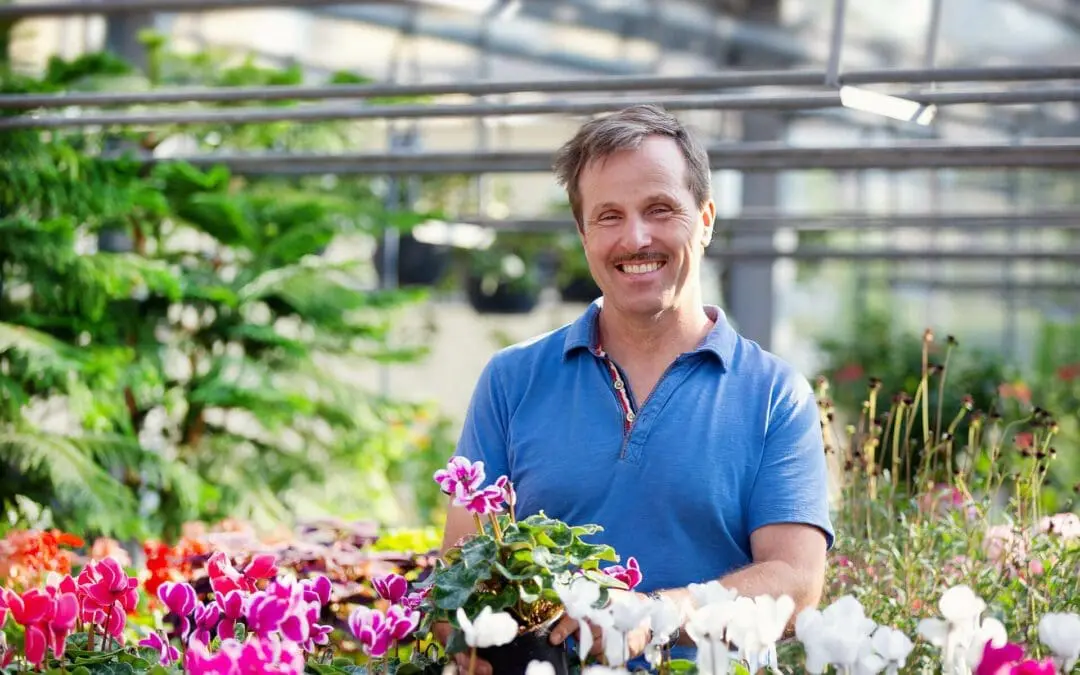 Gaertnerei Michael Hessdoerfer Retzbach Alpenveilchen