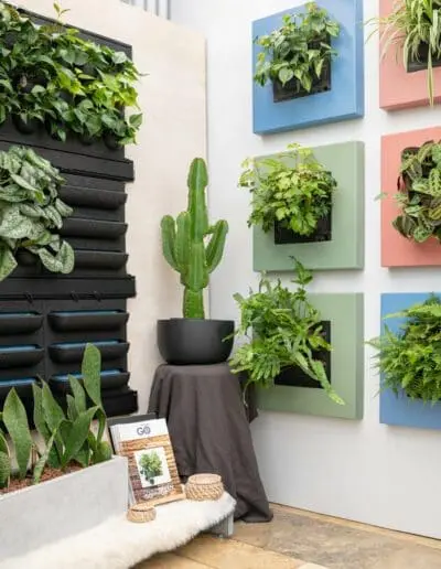 Lebende Bilderrahmen mit Zimmerpflanzen