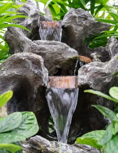 Optimale Kombi: Pflanzen mit Zimmerbrunnen