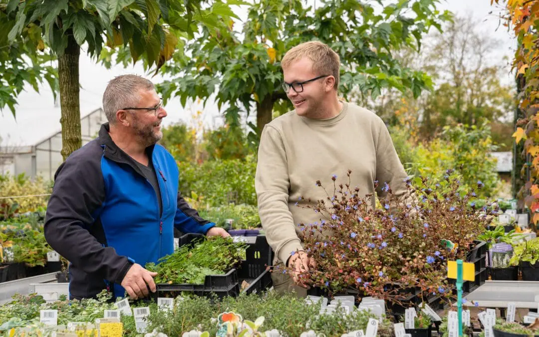 Gartenbaumschule Ringelmann Pflanzenvielfalt Stauden