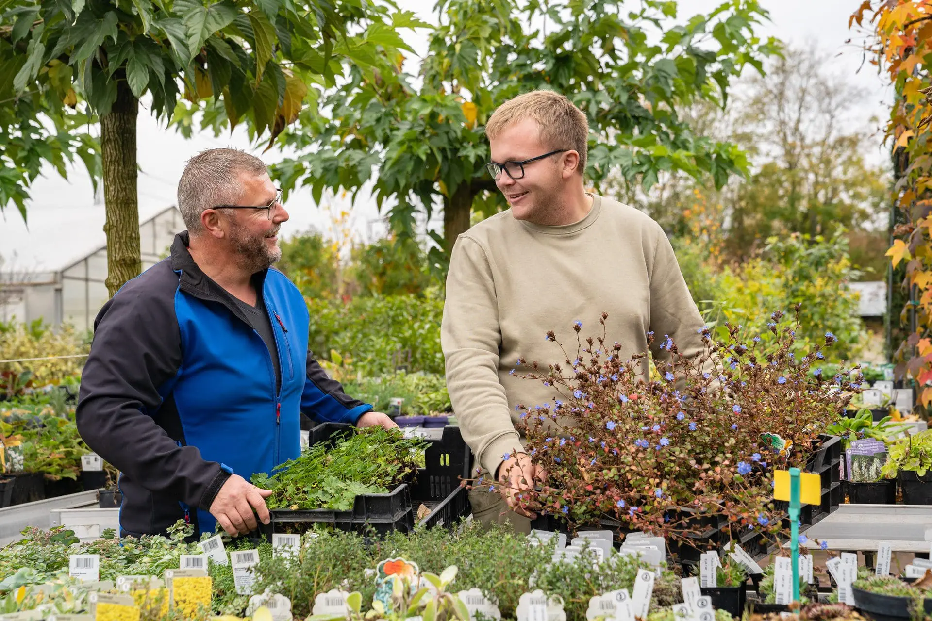 Gartenbaumschule Ringelmann Pflanzenvielfalt Stauden