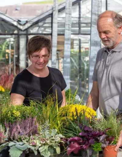Gärtnerei Elmar Müller Beratung Und Pflanzservice