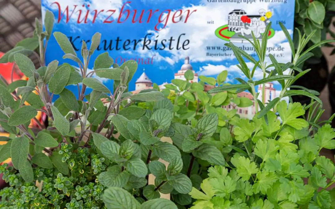 Gartenbaugruppe Würzburg – Würzburger Kräuterkistle