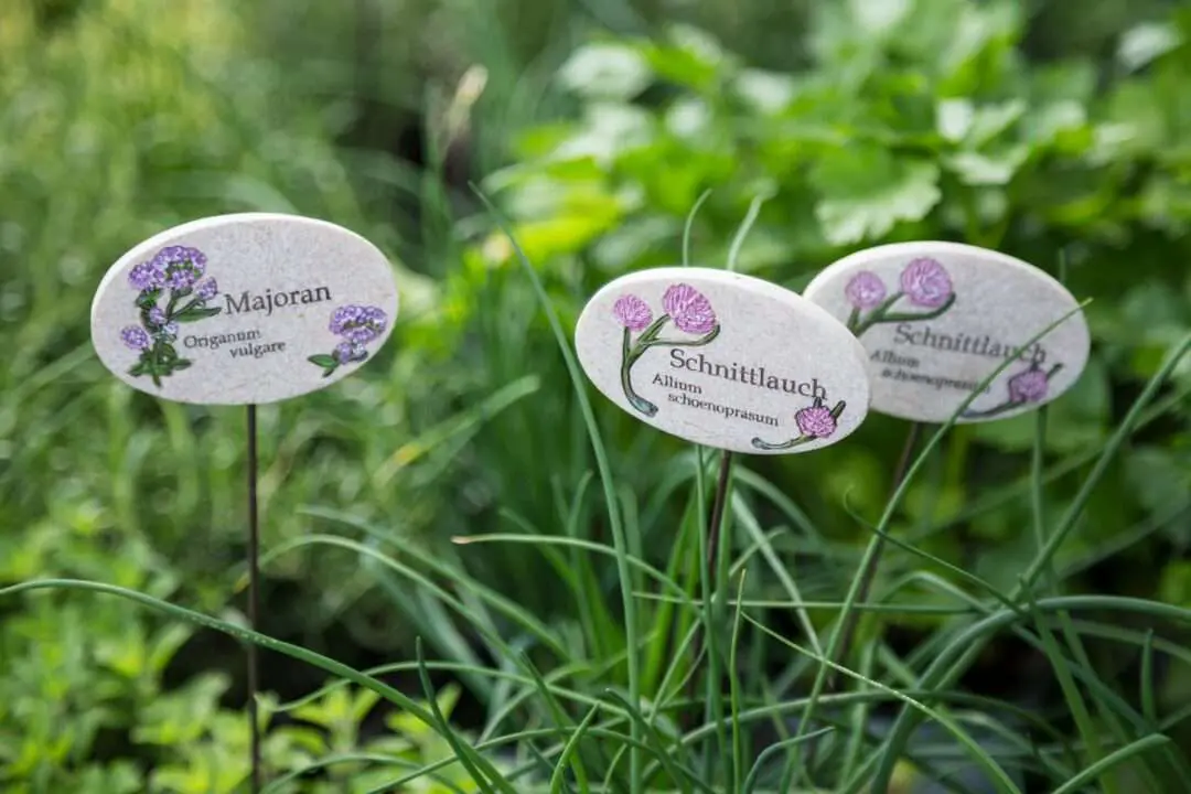 Gartenbaugruppe Würzburg – Gartenkräuter
