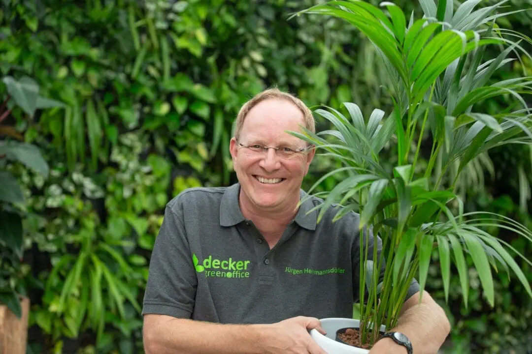 6013 Decker Greenoffice Juergen Herrmannsdoerfer