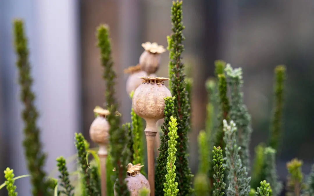 Stimmungsvolle Allerheiligengestecke individuell für Sie