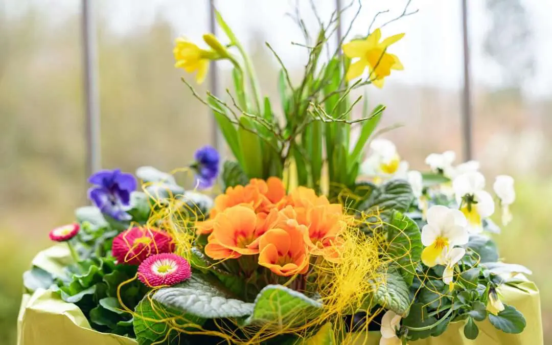 Gartenbaugruppe Würzburg – Bunte Frühlingskiste