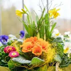 Gartenbaugruppe Würzburg – Bunte Frühlingskiste