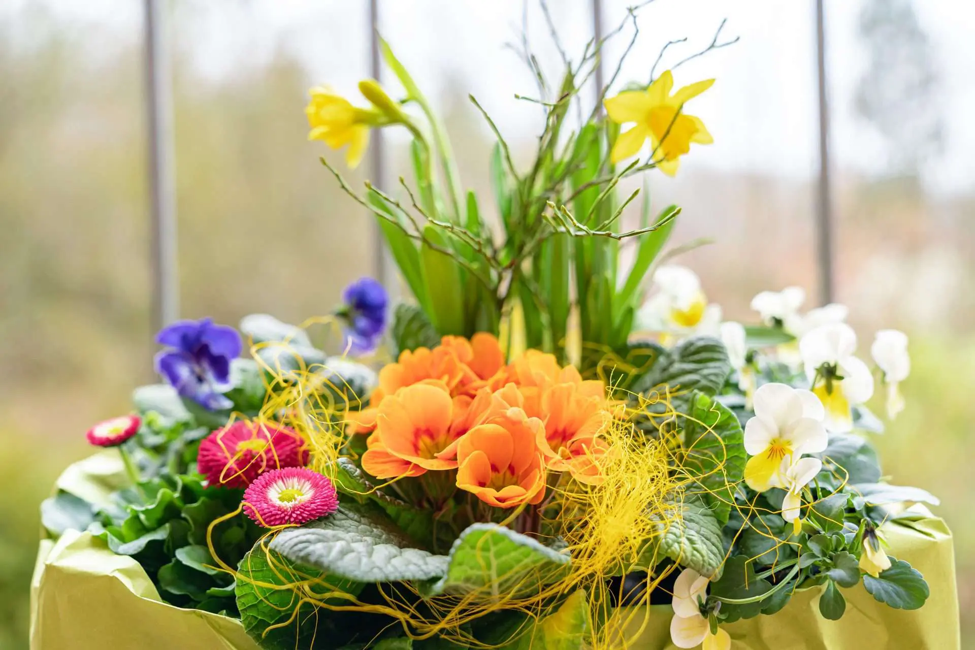 Gartenbaugruppe Würzburg – Bunte Frühlingskiste