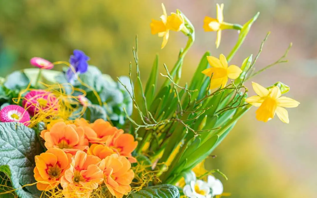 Gartenbaugruppe Würzburg – Bunte Frühlingskiste