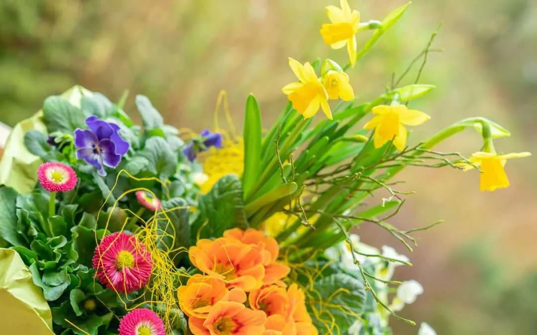 Gartenbaugruppe Würzburg – Bunte Frühlingskiste