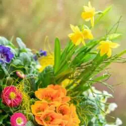 Gartenbaugruppe Würzburg – Bunte Frühlingskiste